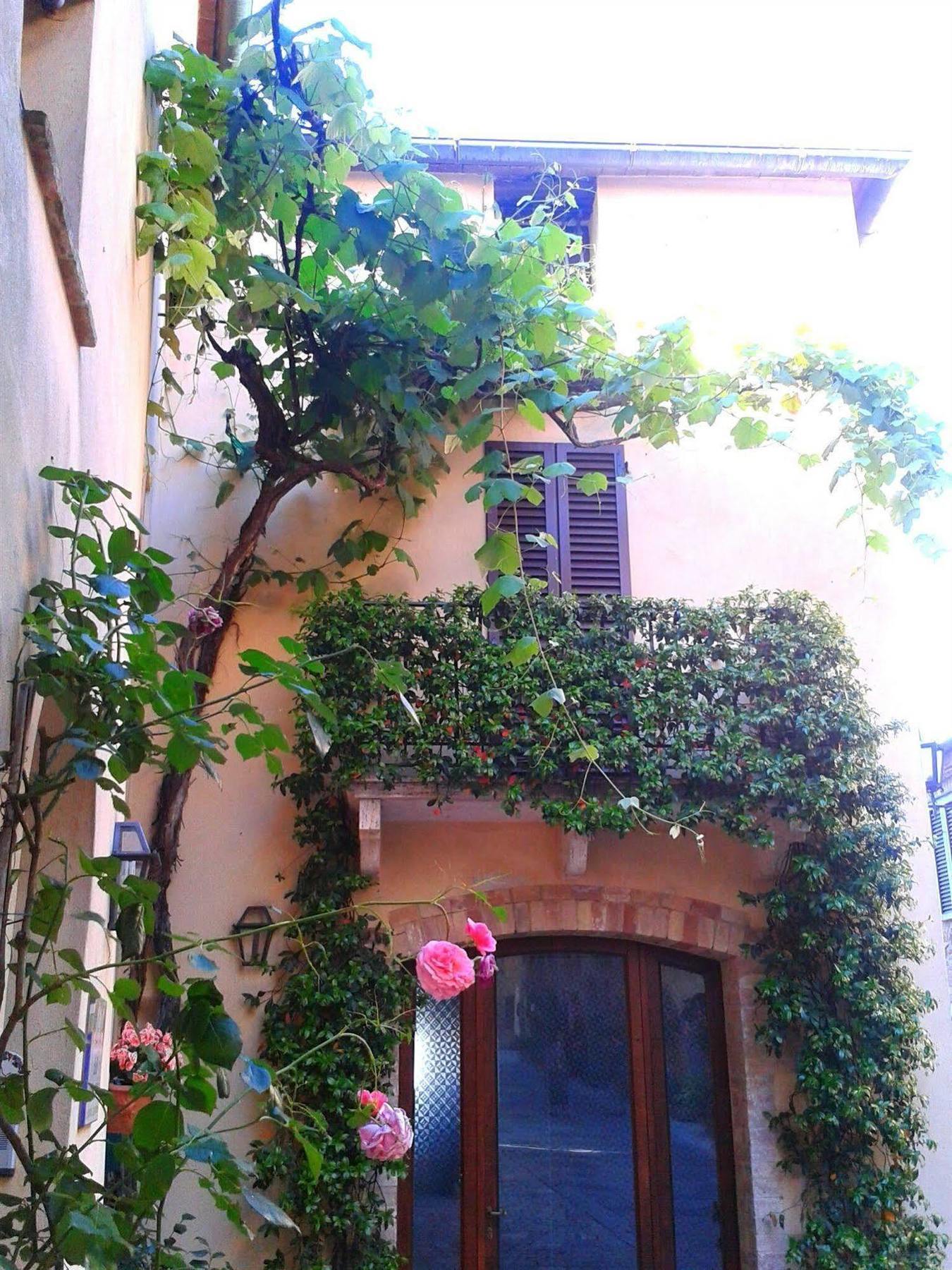 B&B Camere La Vite Pienza Exterior foto